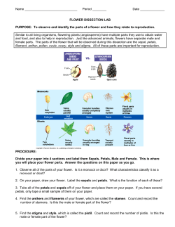 FLOWER DISSECTION LAB PURPOSE