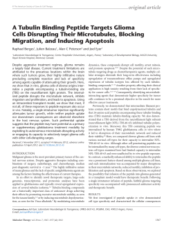 A Tubulin Binding Peptide Targets Glioma Cells