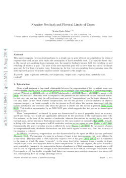 Negative Feedback and Physical Limits of Genes