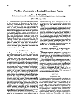 The Role of Ammonia in Ruminal Digestionof Protein