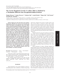The Gravity-Regulated Growth of Axillary Buds is