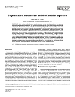 Segmentation, metamerism and the Cambrian explosion