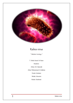 Rabies virus