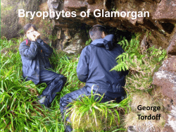 Bryophytes of Glamorgan
