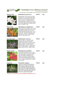 to - The Hambidge Center