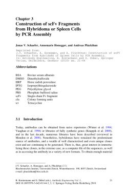 Construction of scFv Fragments from Hybridoma or Spleen Cells by