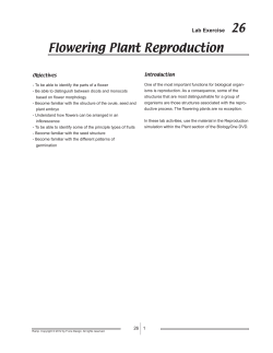 Flowering Plant Reproduction - f