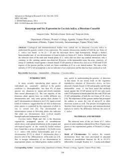 Karyotype and Sex Expression in Coccinia indica, a Dioecious
