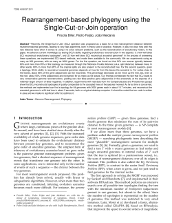Rearrangement-based phylogeny using the Single-Cut-or