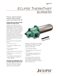 eclipse thermthief burners