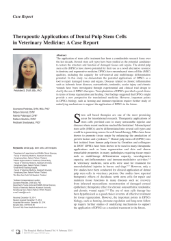 Therapeutic Applications of Dental Pulp Stem Cells in Veterinary