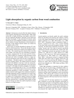 Light absorption by organic carbon from wood combustion