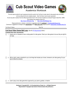 Cub Scout Video Games - US Scouting Service Project