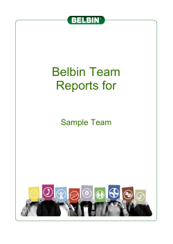 Belbin Team Reports for