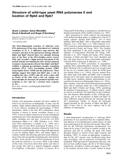 Structure of wild‐type yeast RNA polymerase II and location of Rpb4