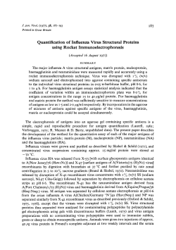Quantification of Influenza Virus Structural Proteins using Rocket