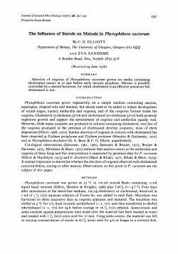 The Influence of Sterols on Meiosis in Phytophthora