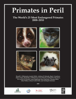 Primates in Peril