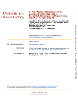 ATPase CDC-48 + the AAA Is Dependent on