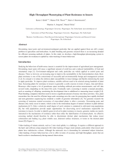 High-Throughput Phenotyping of Plant Resistance to Insects