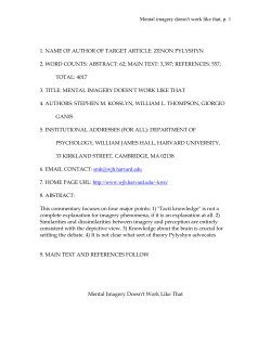 Mental imagery doesn`t work like that, p. 1