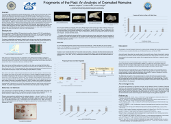 Matthew Capece , Tucker Hlad