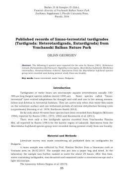 Tardigrada: Heterotardigrada, Eutardigrada