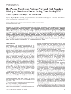 The Plasma Membrane Proteins Prm1 and Fig1 - Walter Lab
