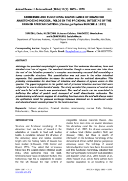 4. Ikpegbu et al - University Of Nigeria Nsukka