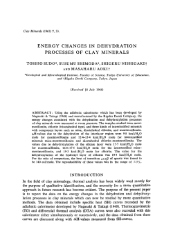 energy changes in dehydration processes of clay minerals