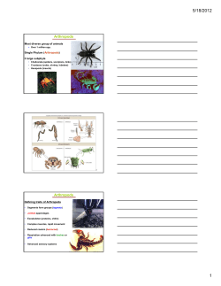 arthropods - People Server at UNCW