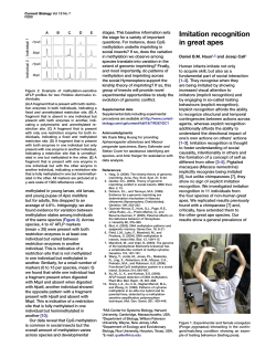 Imitation recognition in great apes