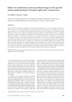 Effects of earthworms and mycorrhizal fungi on the growth of the