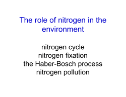 Th l f it i th The role of nitrogen in the environment