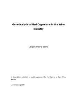 Genetically Modified Organisms in the Wine Industry