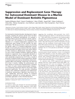 Suppression and Replacement Gene Therapy for Autosomal