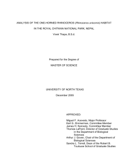 Analysis of the one-horned rhinoceros