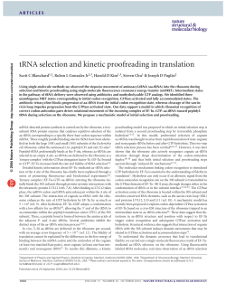 tRNA selection and kinetic proofreading in translation