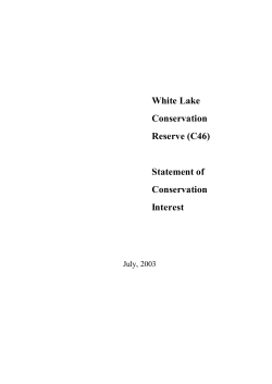 Approved White Lake SCI Final Copy _August 14 2003_