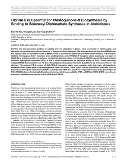 Fibrillin 5 Is Essential for Plastoquinone-9