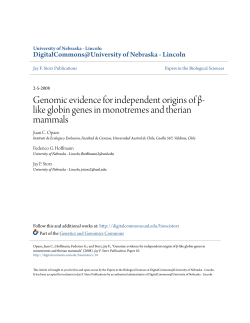 Genomic evidence for independent origins of &Icirc;&sup2;