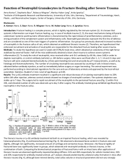 Function of Neutrophil Granulocytes in Fracture Healing after Severe
