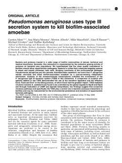 Pseudomonas aeruginosa uses type III secretion system to