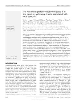 The movement protein encoded by gene 3 of rice transitory