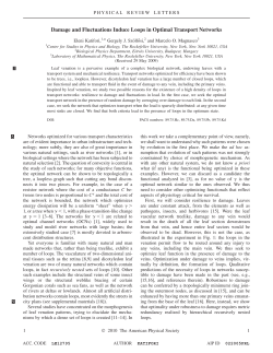 Damage and Fluctuations Induce Loops in Optimal Transport
