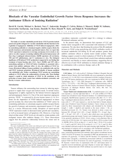 Blockade of the Vascular Endothelial Growth