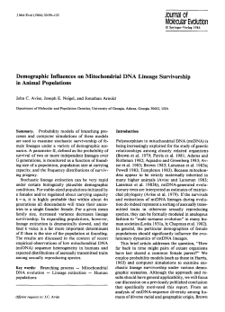 Demographic influences on mitochondrial DNA lineage survivorship