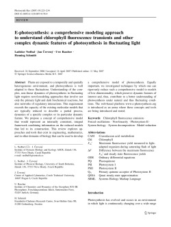 E-photosynthesis: a comprehensive modeling approach to