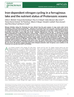 Michiels CC, Darchambeau F, Roland FAE, Morana C, Lliros M