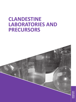 07 Clan Labs and Precursors - Australian Criminal Intelligence